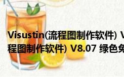 Visustin(流程图制作软件) V8.07 绿色免费版（Visustin(流程图制作软件) V8.07 绿色免费版功能简介）