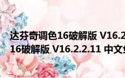 达芬奇调色16破解版 V16.2.2.11 中文免费版（达芬奇调色16破解版 V16.2.2.11 中文免费版功能简介）