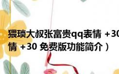 猥琐大叔张富贵qq表情 +30 免费版（猥琐大叔张富贵qq表情 +30 免费版功能简介）