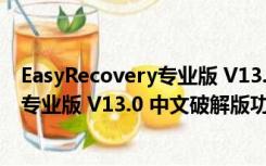 EasyRecovery专业版 V13.0 中文破解版（EasyRecovery专业版 V13.0 中文破解版功能简介）