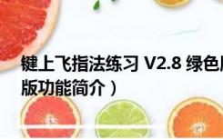 键上飞指法练习 V2.8 绿色版（键上飞指法练习 V2.8 绿色版功能简介）