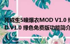 死或生5瞳爆衣MOD V1.0 绿色免费版（死或生5瞳爆衣MOD V1.0 绿色免费版功能简介）