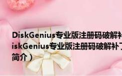 DiskGenius专业版注册码破解补丁 V5.4.3 32位/64位 绿色免费版（DiskGenius专业版注册码破解补丁 V5.4.3 32位/64位 绿色免费版功能简介）