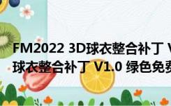 FM2022 3D球衣整合补丁 V1.0 绿色免费版（FM2022 3D球衣整合补丁 V1.0 绿色免费版功能简介）