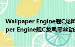 Wallpaper Engine舰C龙凤黑丝动态壁纸 免费版（Wallpaper Engine舰C龙凤黑丝动态壁纸 免费版功能简介）