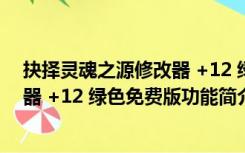 抉择灵魂之源修改器 +12 绿色免费版（抉择灵魂之源修改器 +12 绿色免费版功能简介）