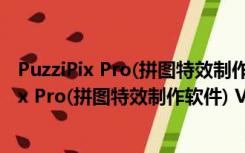 PuzziPix Pro(拼图特效制作软件) V1.0.5 官方版（PuzziPix Pro(拼图特效制作软件) V1.0.5 官方版功能简介）