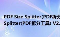 PDF Size Splitter(PDF拆分工具) V2.0 绿色版（PDF Size Splitter(PDF拆分工具) V2.0 绿色版功能简介）