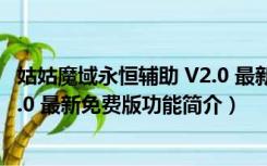 姑姑魔域永恒辅助 V2.0 最新免费版（姑姑魔域永恒辅助 V2.0 最新免费版功能简介）