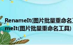 RenameIt(图片批量重命名工具) V1.39 绿色免费版（RenameIt(图片批量重命名工具) V1.39 绿色免费版功能简介）