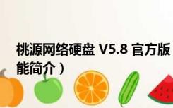 桃源网络硬盘 V5.8 官方版（桃源网络硬盘 V5.8 官方版功能简介）