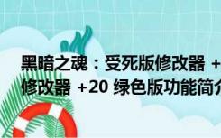 黑暗之魂：受死版修改器 +20 绿色版（黑暗之魂：受死版修改器 +20 绿色版功能简介）