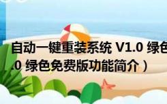 自动一键重装系统 V1.0 绿色免费版（自动一键重装系统 V1.0 绿色免费版功能简介）