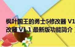 枫叶国王的勇士5修改器 V1.1 最新版（枫叶国王的勇士5修改器 V1.1 最新版功能简介）