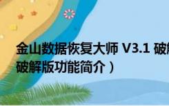 金山数据恢复大师 V3.1 破解版（金山数据恢复大师 V3.1 破解版功能简介）