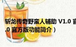 斩龙传奇野蛮人辅助 V1.0 官方版（斩龙传奇野蛮人辅助 V1.0 官方版功能简介）