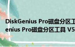 DiskGenius Pro磁盘分区工具 V5.1.0.653 免费版（DiskGenius Pro磁盘分区工具 V5.1.0.653 免费版功能简介）