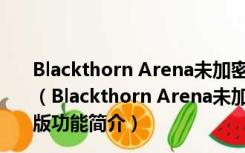 Blackthorn Arena未加密Steam破解补丁 V2021 3DM版（Blackthorn Arena未加密Steam破解补丁 V2021 3DM版功能简介）