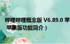 哔哩哔哩概念版 V6.89.0 苹果版（哔哩哔哩概念版 V6.89.0 苹果版功能简介）