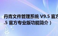 丹青文件管理系统 V9.5 官方专业版（丹青文件管理系统 V9.5 官方专业版功能简介）