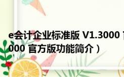 e会计企业标准版 V1.3000 官方版（e会计企业标准版 V1.3000 官方版功能简介）