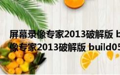 屏幕录像专家2013破解版 build0528 免费破解版（屏幕录像专家2013破解版 build0528 免费破解版功能简介）