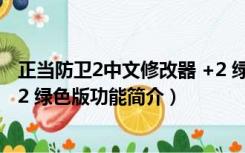 正当防卫2中文修改器 +2 绿色版（正当防卫2中文修改器 +2 绿色版功能简介）