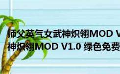 师父英气女武神炽翎MOD V1.0 绿色免费版（师父英气女武神炽翎MOD V1.0 绿色免费版功能简介）