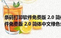 条码打印软件免费版 2.0 简体中文绿色免费版（条码打印软件免费版 2.0 简体中文绿色免费版功能简介）