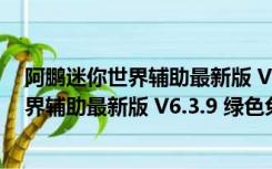 阿鹏迷你世界辅助最新版 V6.3.9 绿色免费版（阿鹏迷你世界辅助最新版 V6.3.9 绿色免费版功能简介）