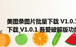 美图录图片批量下载 V1.0.1 吾爱破解版（美图录图片批量下载 V1.0.1 吾爱破解版功能简介）