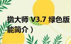 撸大师 V3.7 绿色版（撸大师 V3.7 绿色版功能简介）