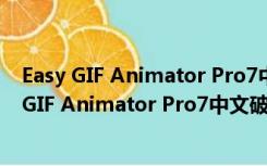 Easy GIF Animator Pro7中文破解版 V7.3 免费版（Easy GIF Animator Pro7中文破解版 V7.3 免费版功能简介）