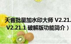 天音批量加水印大师 V2.21.1 破解版（天音批量加水印大师 V2.21.1 破解版功能简介）