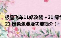 极品飞车11修改器 +21 绿色免费版（极品飞车11修改器 +21 绿色免费版功能简介）