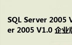 SQL Server 2005 V1.0 企业版（SQL Server 2005 V1.0 企业版功能简介）