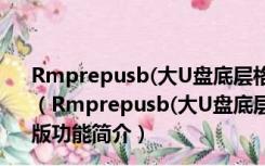 Rmprepusb(大U盘底层格式化软件) V2.1.744 免费汉化版（Rmprepusb(大U盘底层格式化软件) V2.1.744 免费汉化版功能简介）