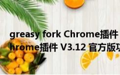 greasy fork Chrome插件 V3.12 官方版（greasy fork Chrome插件 V3.12 官方版功能简介）