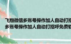 飞翔微信多账号操作加人自动打招呼免费软件 V1.1 绿色版（飞翔微信多账号操作加人自动打招呼免费软件 V1.1 绿色版功能简介）