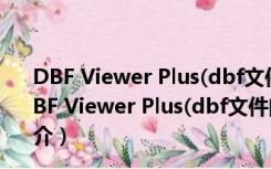 DBF Viewer Plus(dbf文件阅读器) V1.74 绿色免费版（DBF Viewer Plus(dbf文件阅读器) V1.74 绿色免费版功能简介）