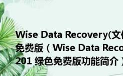 Wise Data Recovery(文件数据恢复软件) V3.84.201 绿色免费版（Wise Data Recovery(文件数据恢复软件) V3.84.201 绿色免费版功能简介）