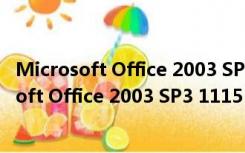 Microsoft Office 2003 SP3 1115 五合一精简版（Microsoft Office 2003 SP3 1115 五合一精简版功能简介）