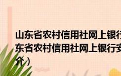 山东省农村信用社网上银行安全控件 V2.3.9.11 官方版（山东省农村信用社网上银行安全控件 V2.3.9.11 官方版功能简介）