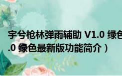 宇兮枪林弹雨辅助 V1.0 绿色最新版（宇兮枪林弹雨辅助 V1.0 绿色最新版功能简介）