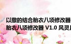 以撒的结合胎衣八项修改器 V1.0 风灵月影版（以撒的结合胎衣八项修改器 V1.0 风灵月影版功能简介）