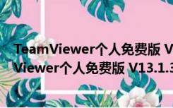 TeamViewer个人免费版 V13.1.3629 官方电脑版（TeamViewer个人免费版 V13.1.3629 官方电脑版功能简介）