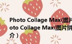 Photo Collage Max(图片拼贴软件) V2.3.2.6 免费版（Photo Collage Max(图片拼贴软件) V2.3.2.6 免费版功能简介）