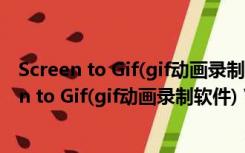 Screen to Gif(gif动画录制软件) V2.5 汉化绿色版（Screen to Gif(gif动画录制软件) V2.5 汉化绿色版功能简介）