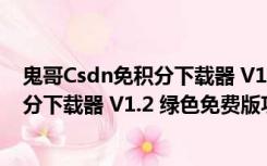 鬼哥Csdn免积分下载器 V1.2 绿色免费版（鬼哥Csdn免积分下载器 V1.2 绿色免费版功能简介）