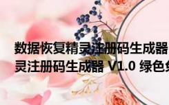 数据恢复精灵注册码生成器 V1.0 绿色免费版（数据恢复精灵注册码生成器 V1.0 绿色免费版功能简介）